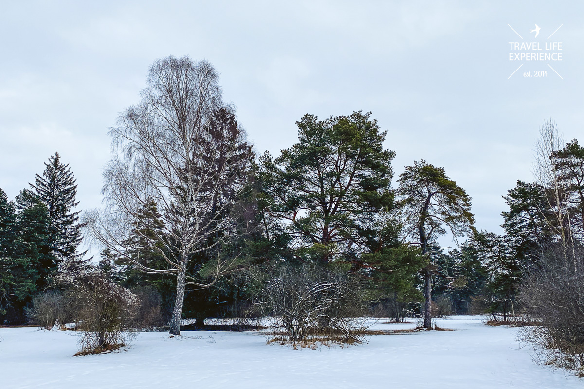 Kissinger Heide im Winter