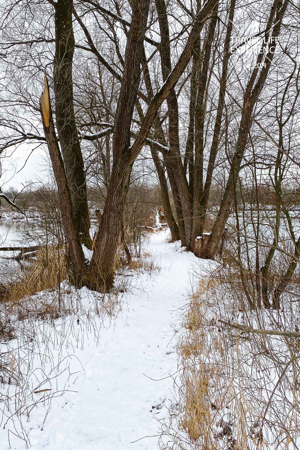 Pfad am Weitmannsee