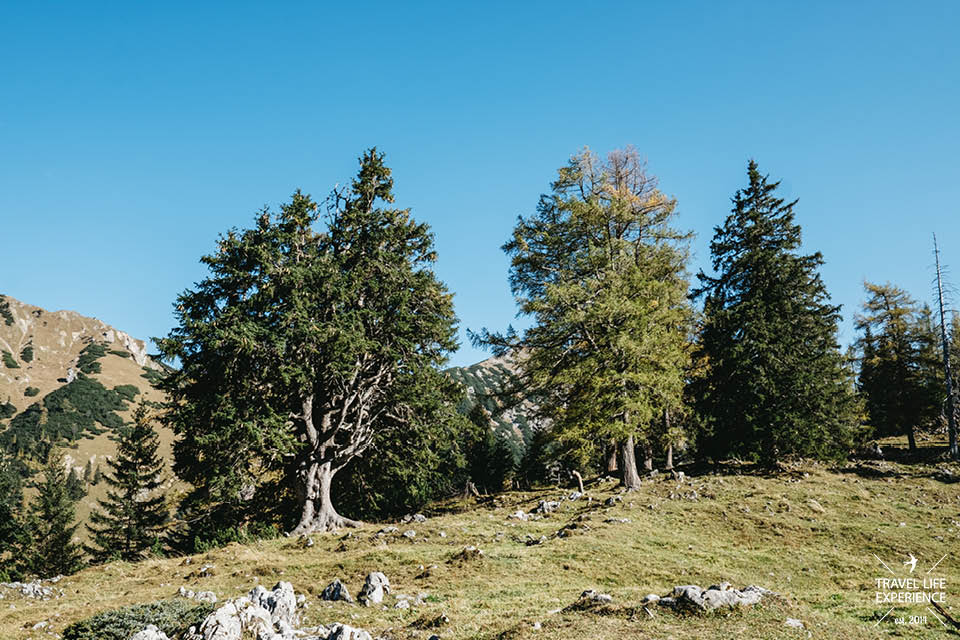 Herbstwanderung im Karwendel