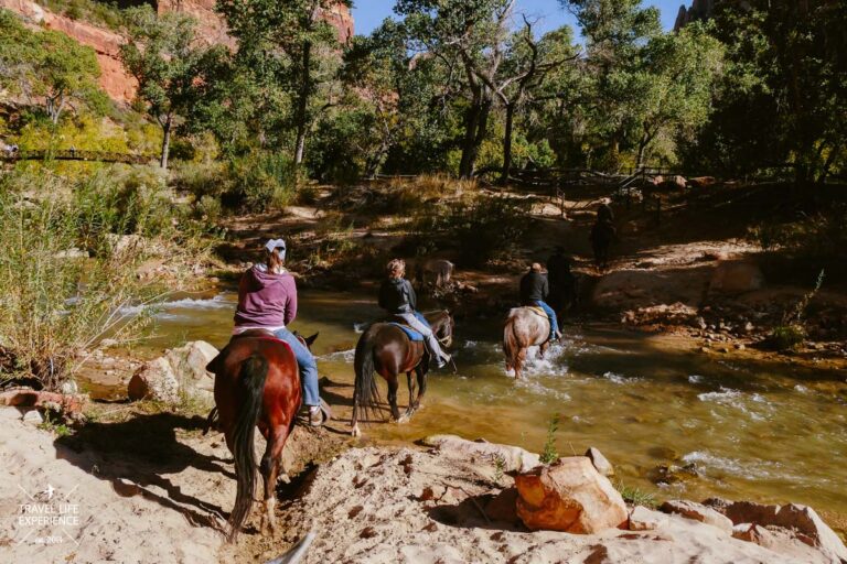 Zion Nationalpark - Reittour Zion Nationalpark - Reittour