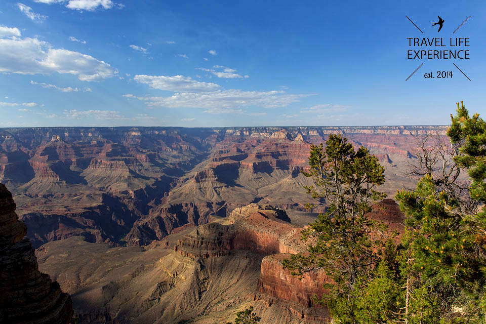 North Rim oder South Rim Grand Canyon National Park
