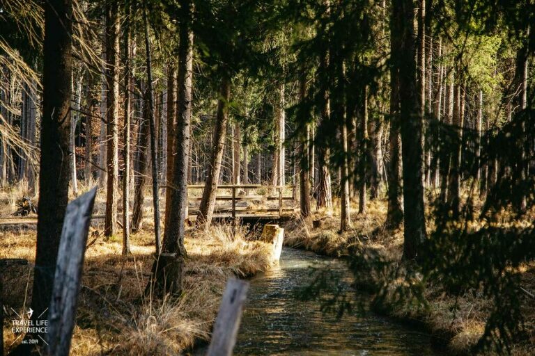 Mandichosee Wandern Durch Den Augsburger Stadtwald