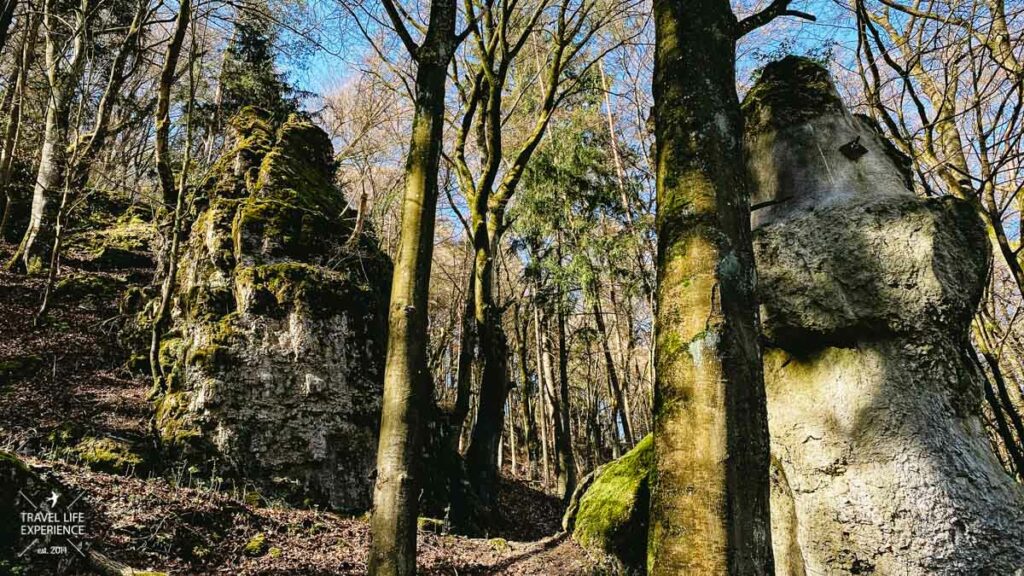 Von Riedenburg durch die Klamm zur Burg Prunn | Wandern im Naturpark Altmühltal