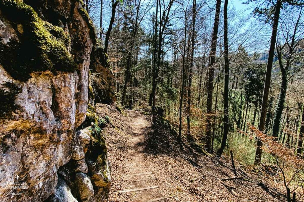Von Riedenburg durch die Klamm zur Burg Prunn | Wandern im Naturpark Altmühltal