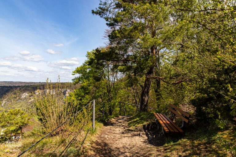 Gungoldinger Wacholderheide | Wanderung über die Ruine Arnsberg