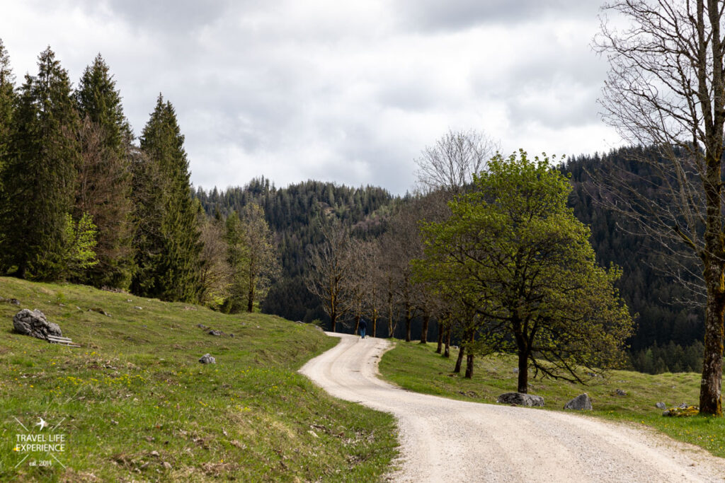 Anstieg zur Mordaualm bei Ramsau im Berchtesgadener Land