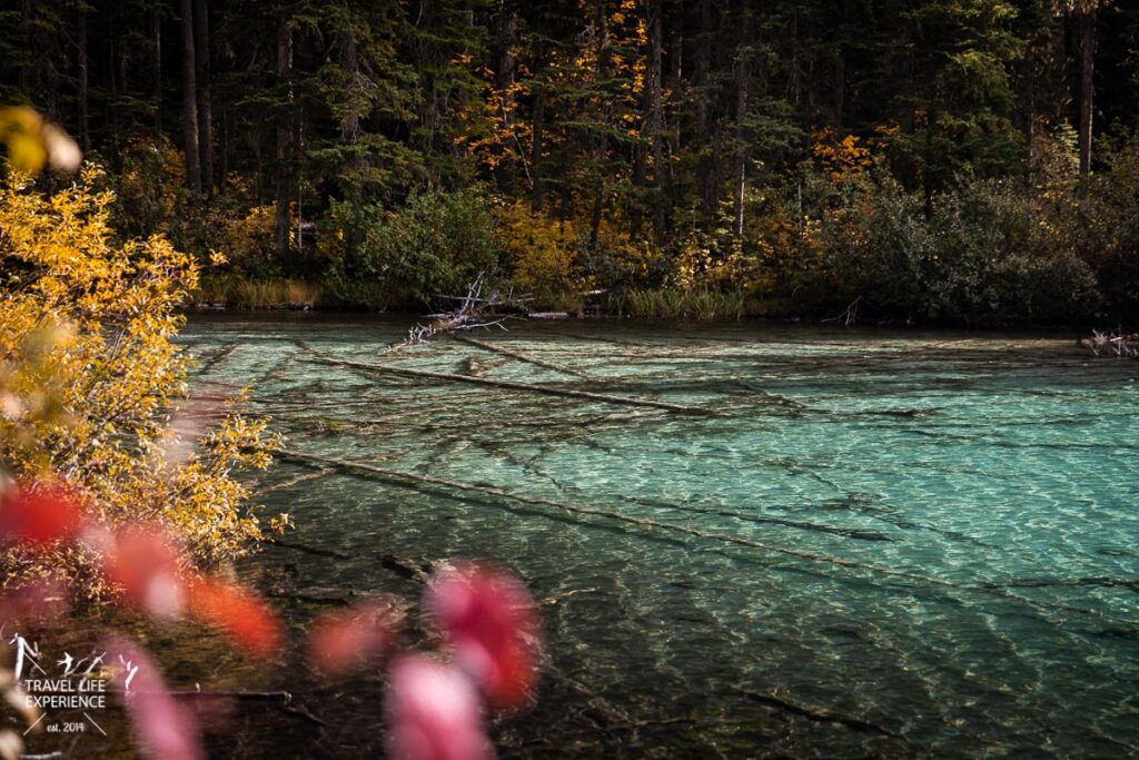 Rundreise durch den Westen Kanadas: Olive Lake im Yoho National Park