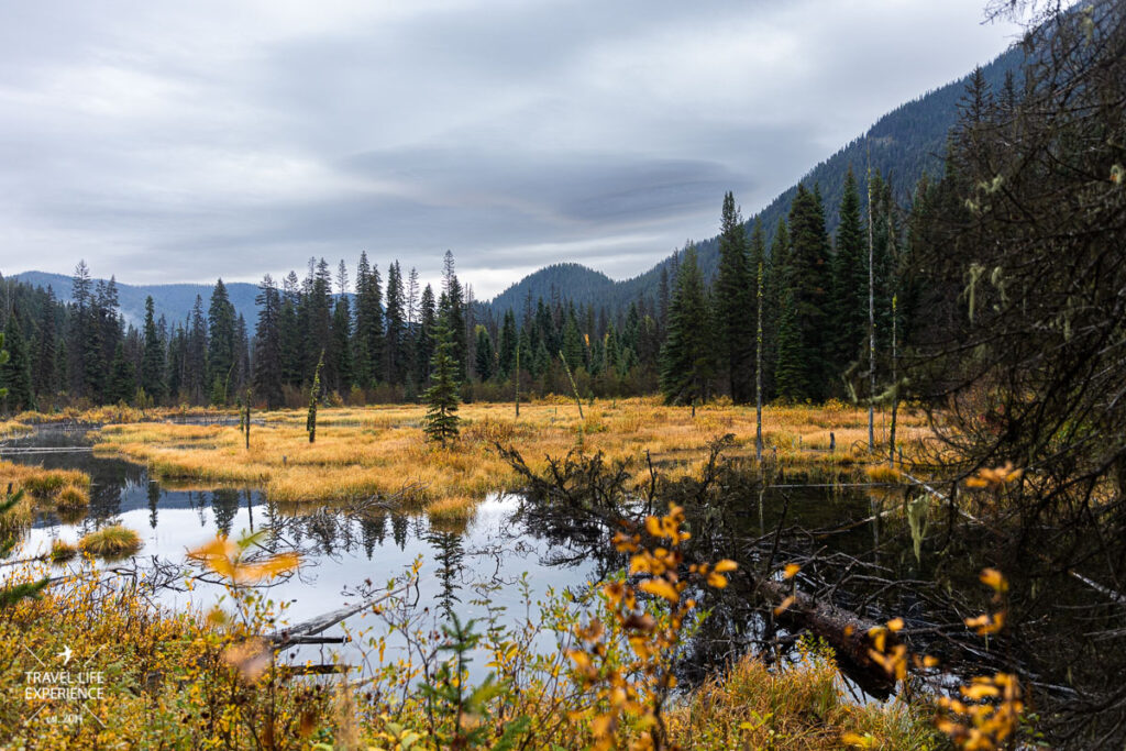 Rundreise durch den Westen Kanadas: Beamer Pond im E.C. Manning Provincial Park