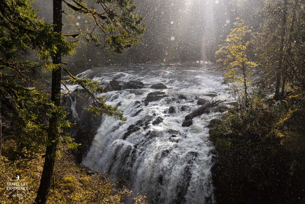 Rundreise durch den Westen Kanadas: Englishman River Falls Provincial Park