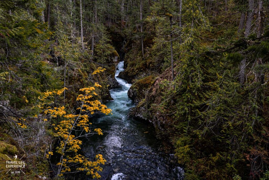 Rundreise durch den Westen Kanadas: Little Qualicum Provincial Park