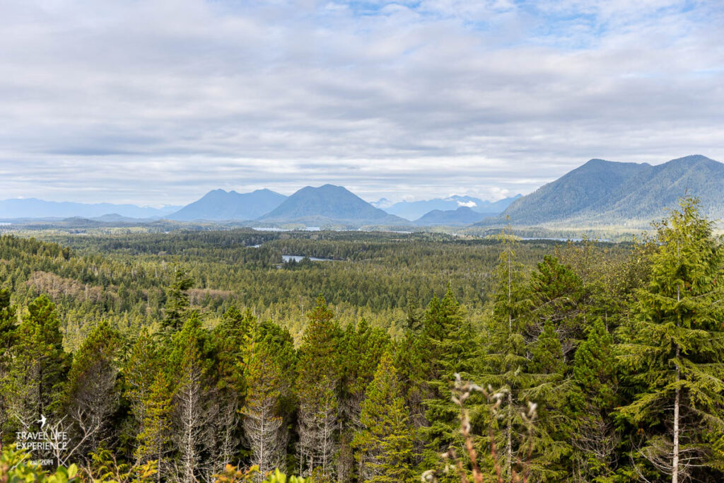 Rundreise durch den Westen Kanadas  - Ausblick vom Radar Hill über Vancouver Island