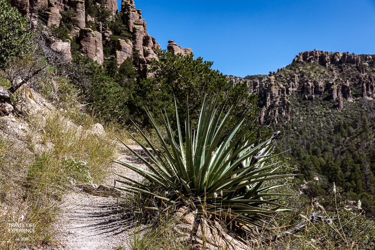 Felsformationen im Chiricahua National Monument in Arizona, USA @ Sylvia Bentele