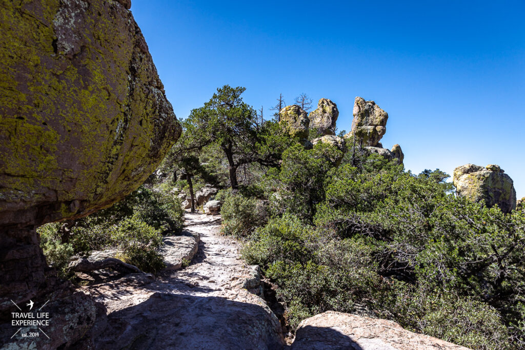 Wanderweg im Chiricahua National Monument in Arizona, USA 