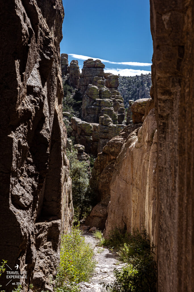 Chiricahua National Monument ©Sylvia Bentele 035