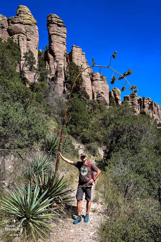 Chiricahua National Monument ©Sylvia Bentele 038