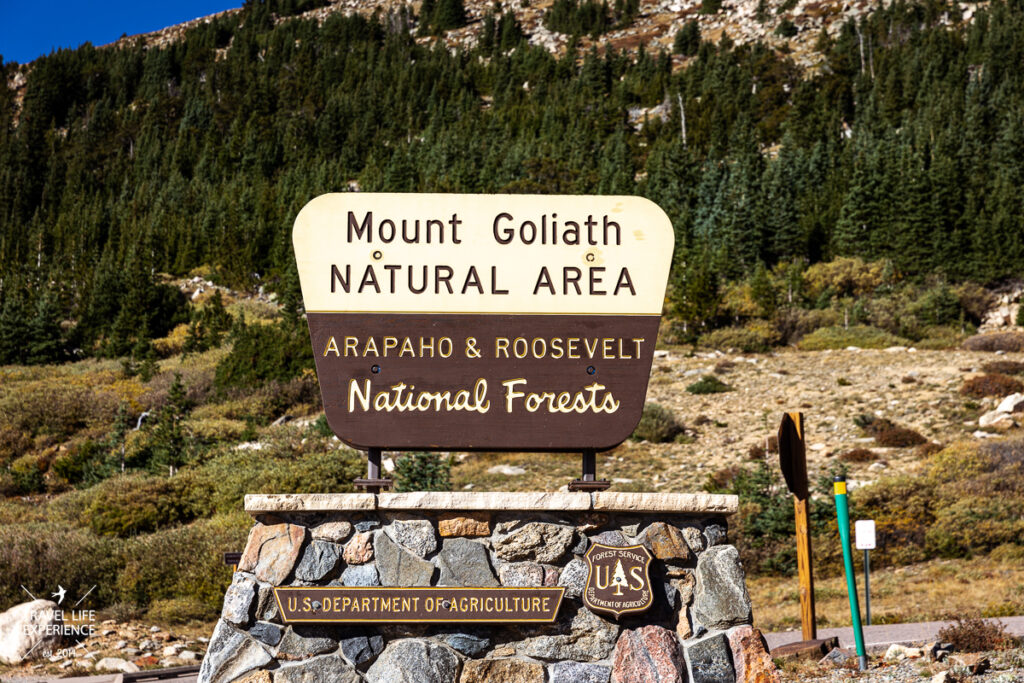 Mount Goliath Natural Area ©Sylvia Bentele