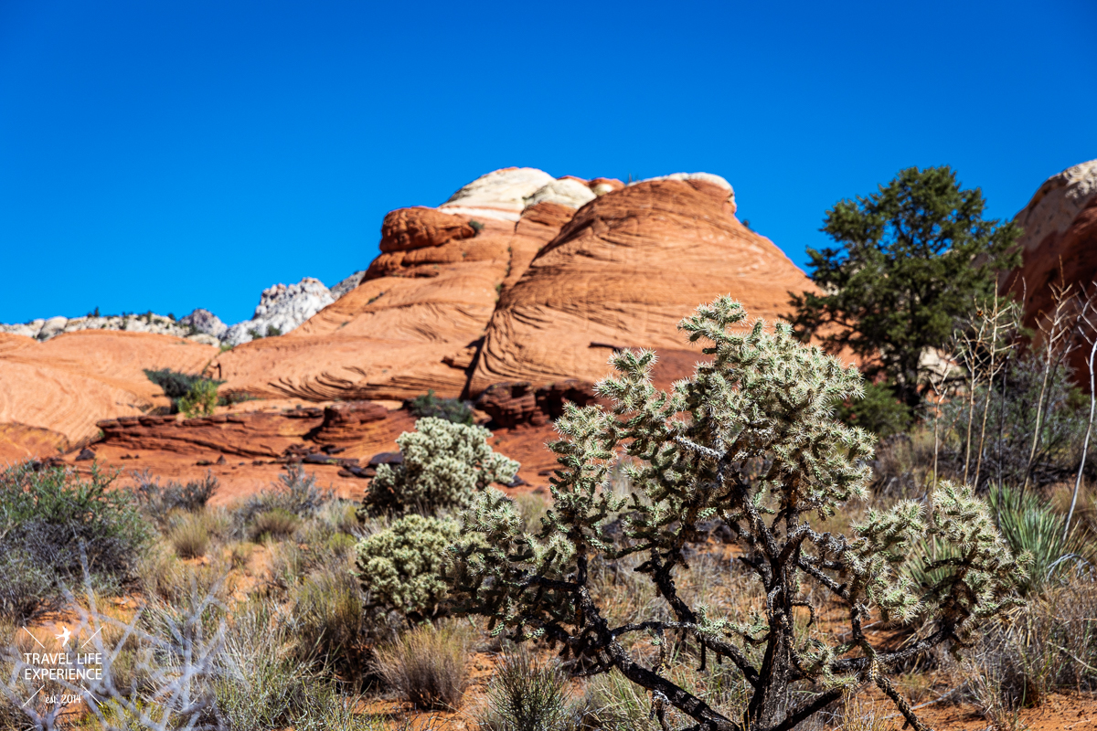 Wandern im Snow Canyon State Park bei St. George in Utah Wandern im Snow Canyon State Park bei St. George in Utah