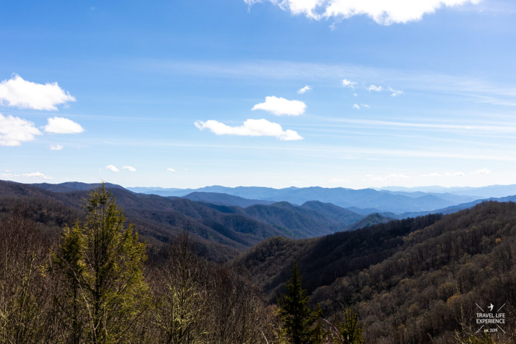 Blick über die Great Smoky Mountains (c) Sylvia Bentele