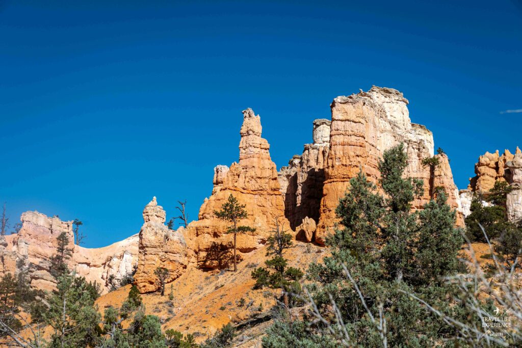 Hoodoos am Mossy Cave Trail im Bryce Canyon Nationalpark