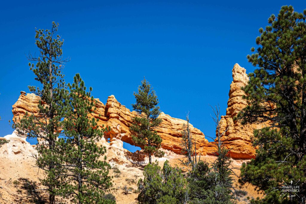 Hoodoos am Mossy Cave Trail im Bryce Canyon Nationalpark