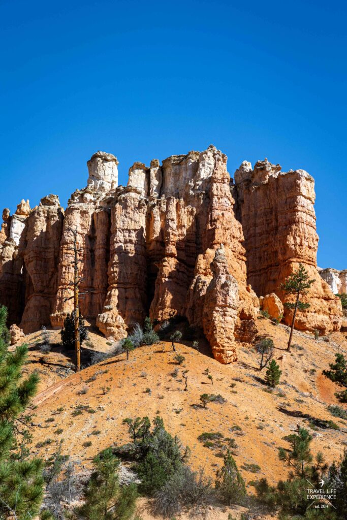 Hoodoos entlang des Mossy Cave Trail im Bryce Canyon National Park in Utah