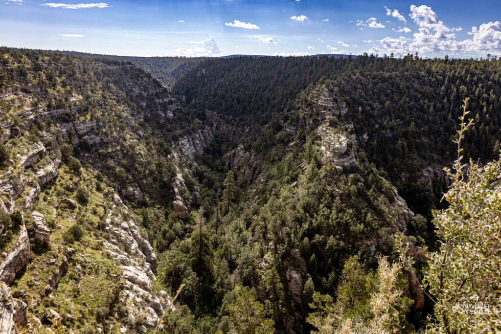 Blick in die tiefe Schlucht des Walnut Canyon 