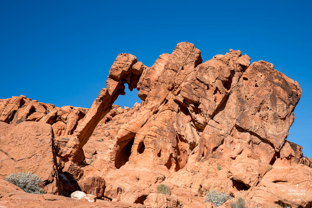 Der Elephant Rock im Valley of Fire State Park