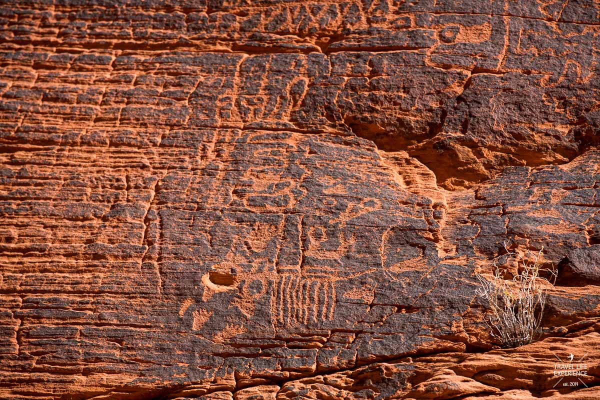 Petroglyphen am Mouse Tank's Trail im Valley of Fire State Park