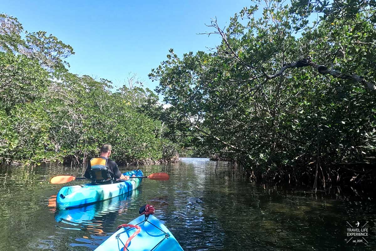 Rundreise durch Florida: Kajak fahren durch die Mangroven auf den Florida Keys
