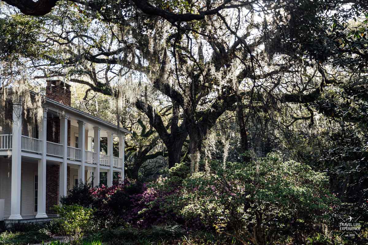 Rundreise durch Florida und die Südstaaten: Villa mit riesigen Eichen voll Spanish Moss im Eden Gardens State Park