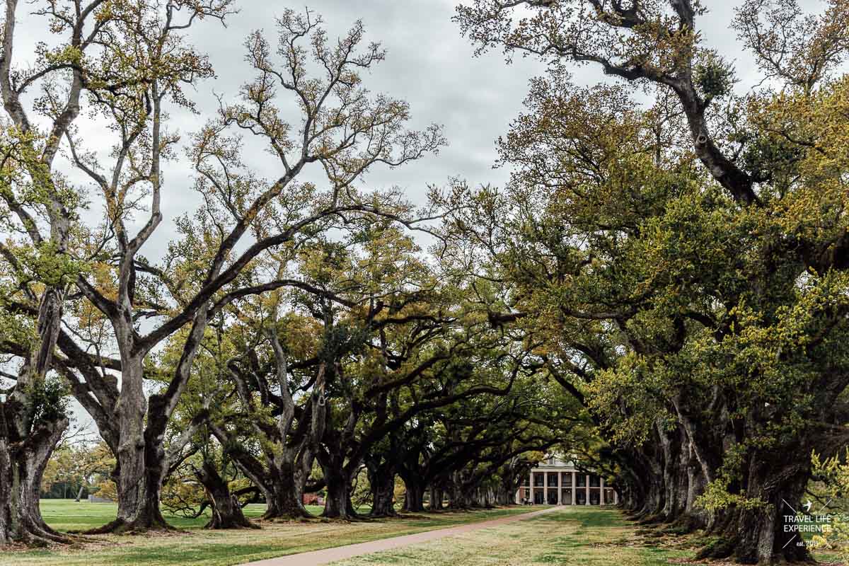 Rundreise durch Florida und die Südstaaten: die berühmte Oak Alley Plantation