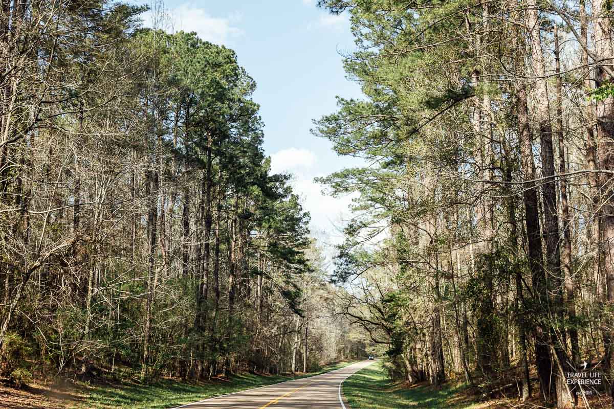 Rundreise durch Florida und die Südstaaten: Fahrt auf dem Natchez Trace Parkway
