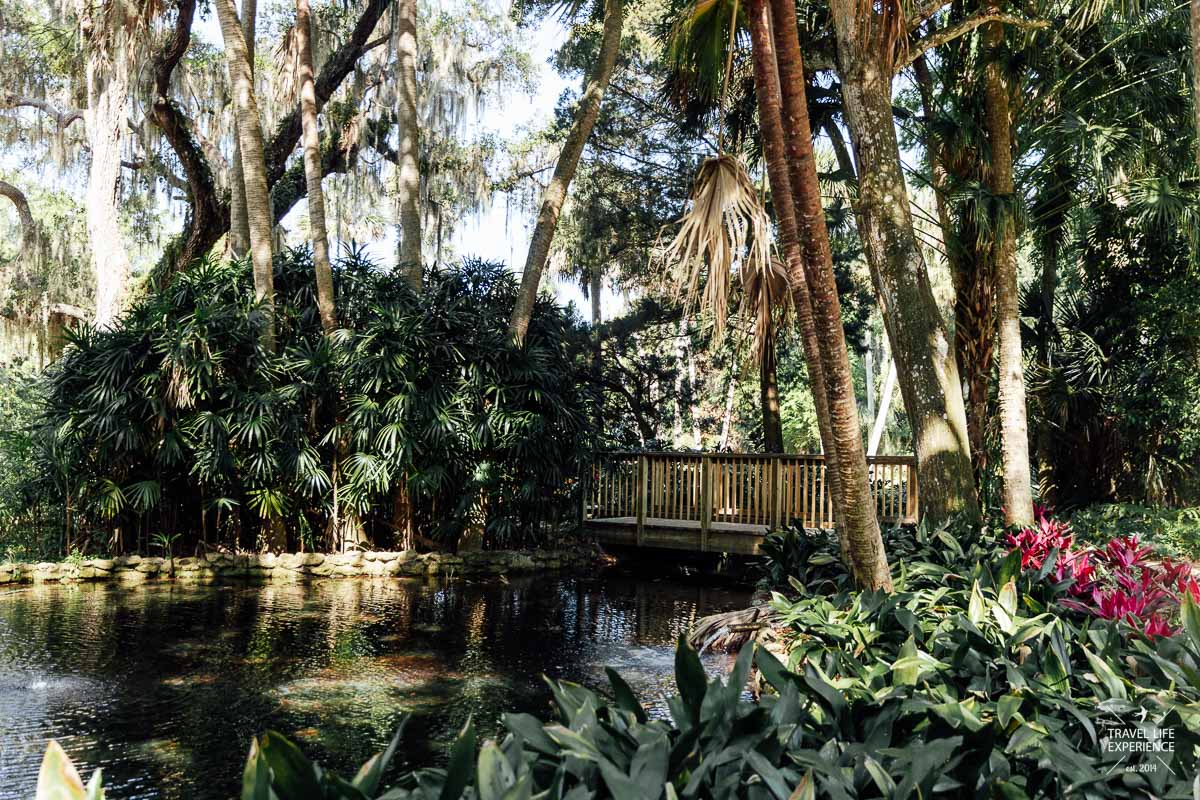 Rundreise durch Florida und die Südstaaten: Der Washington Oaks Eden gardens State Park