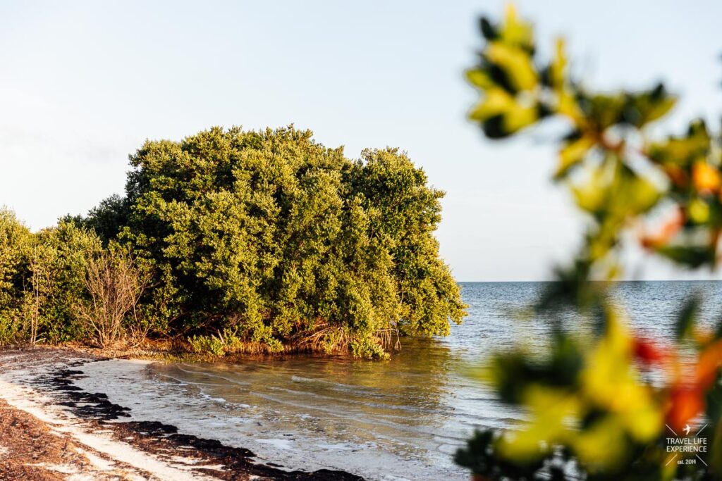 Rundreise durch Florida: Abendsonne am Meer im Long Key State Park