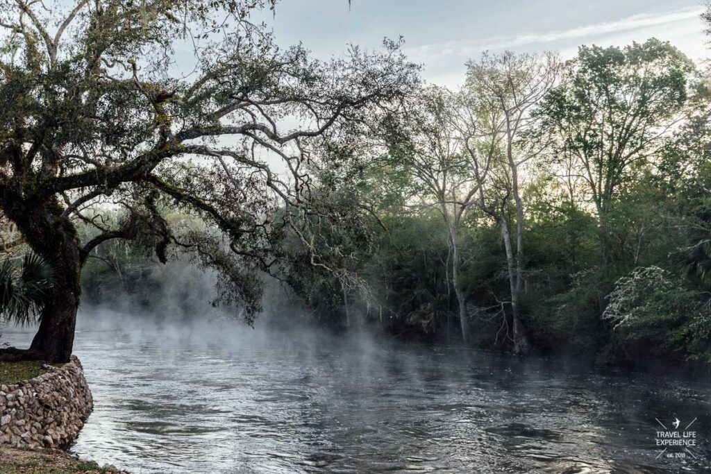 Rundreise durch Florida: Nebelschwaden am frühen Morgen über dem Steinhatchee River