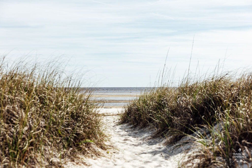 Rundreise durch Florida und die Südstaaten: Strand am Bald Point State Park