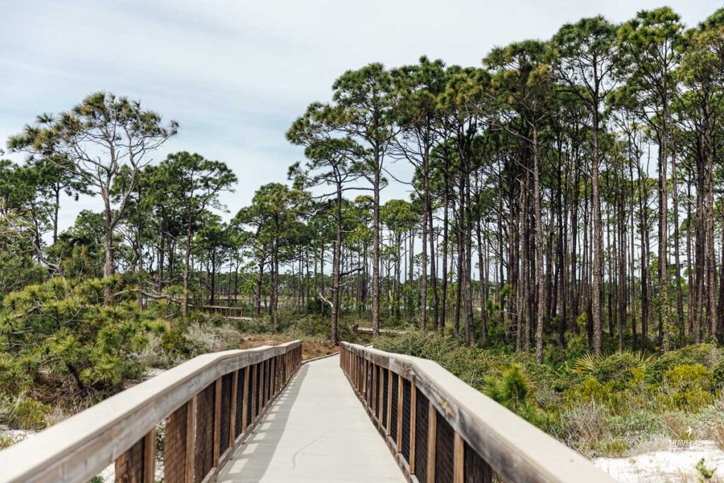 Rundreise durch Florida und die Südstaaten: Boardwalk im Dr. Julian G. Bruce State George Island State Park