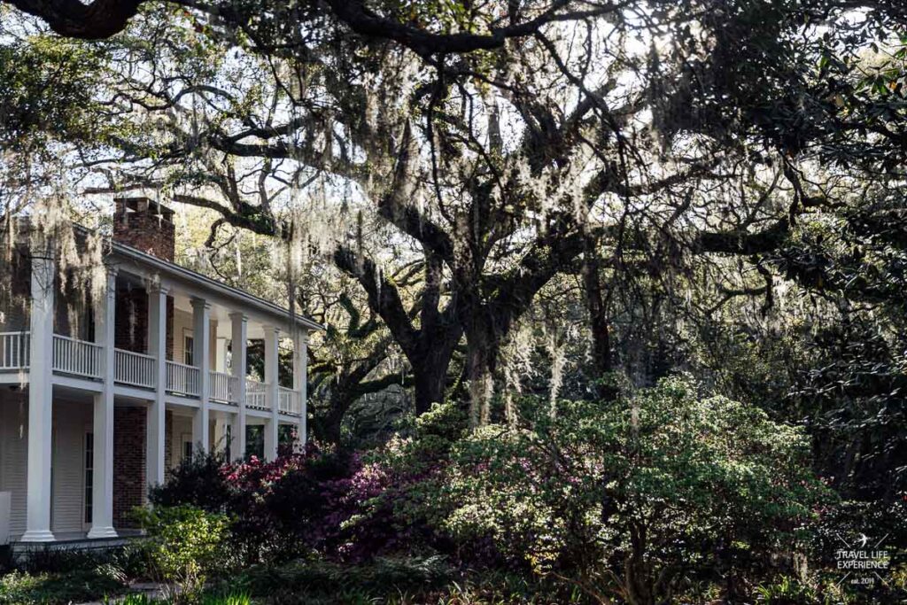 Rundreise durch Florida und die Südstaaten: Villa mit riesigen Eichen voll Spanish Moss im Eden Gardens State Park