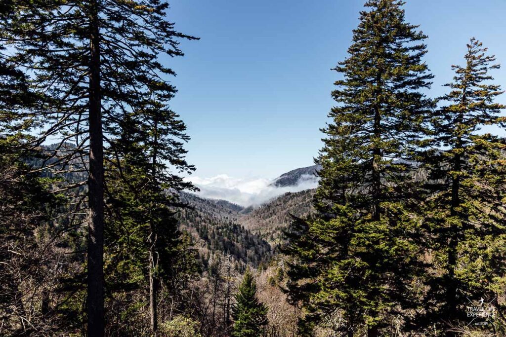 Rundreise durch Florida und die Südstaaten: Der Great Smoky Mountains Nationalpark