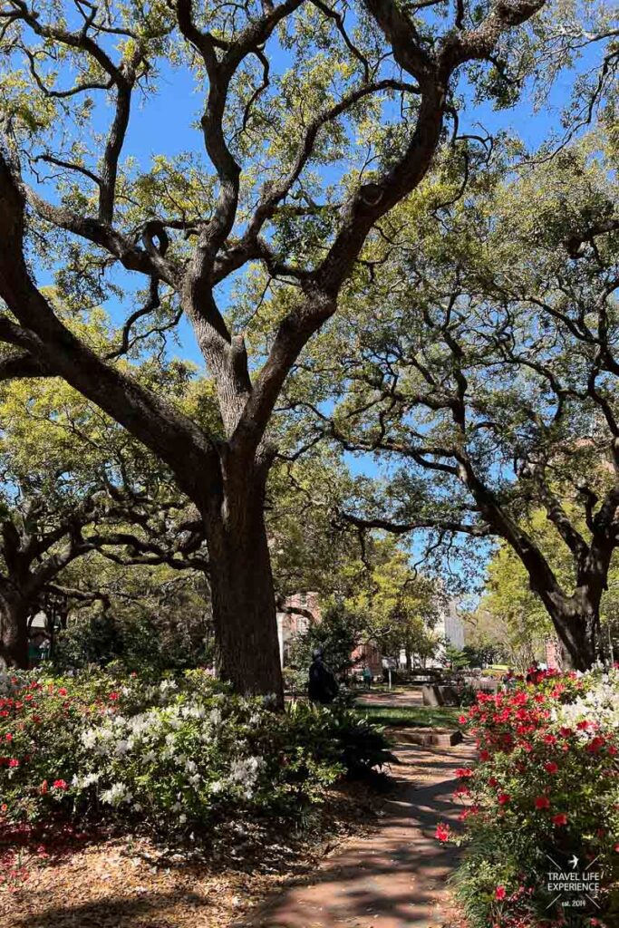 Rundreise durch Florida und die Südstaaten: Gartenanlagen in Savannah