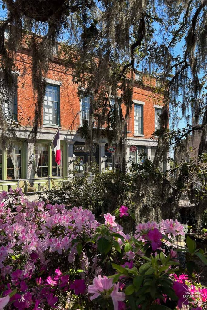 Rundreise durch Florida und die Südstaaten: Südstaatenromantik in Savannah