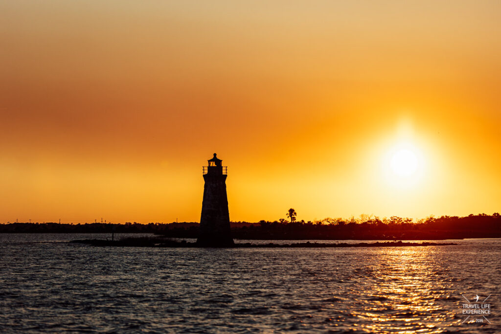 Dolphin Cruise auf Tybee Island