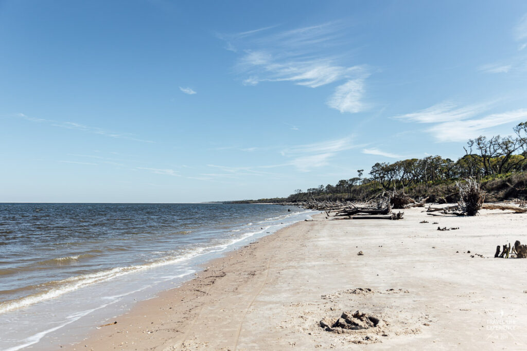 Rundreise durch Florida: Boneyard Beach im Big Talbot Island State Park