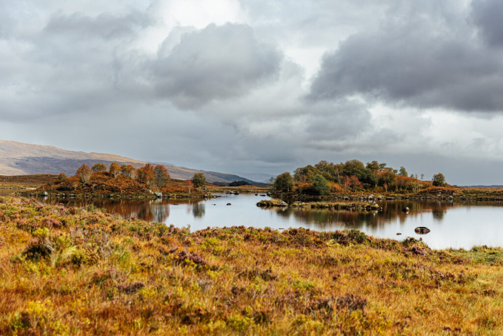 Roadtrip nach Schottland - Rannoch Moor