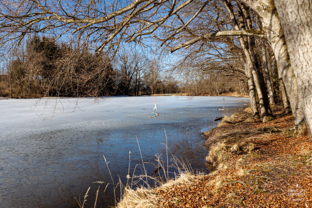Der zugefrorene Thanninger Weiher bei Egling