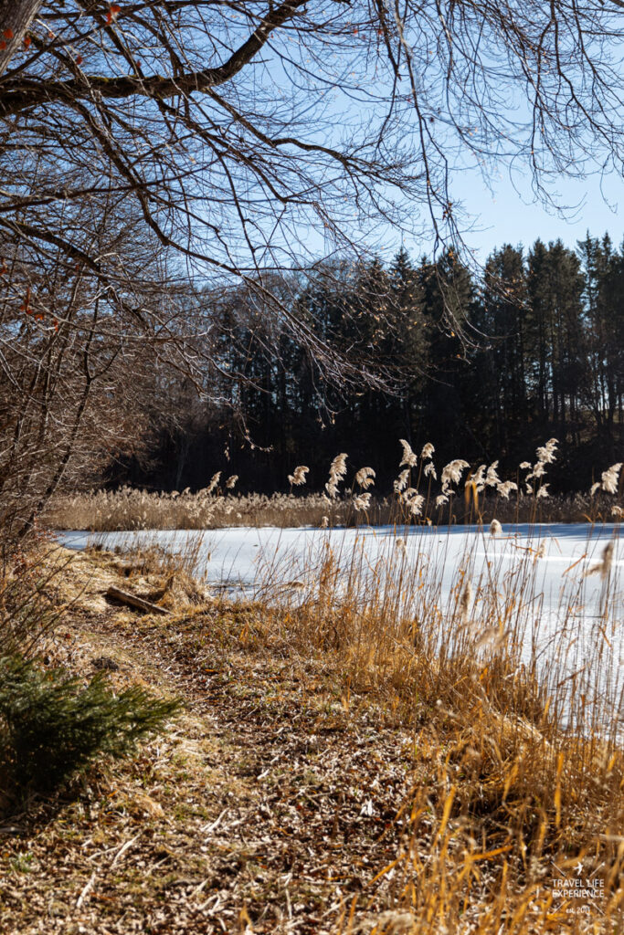 spatenbraeufilz moor wandern sylvia bentele 008