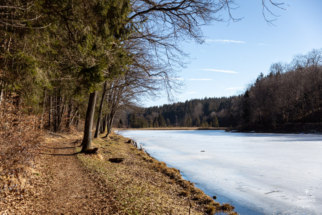 spatenbraeufilz moor wandern sylvia bentele 010
