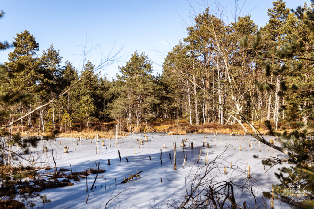 Zugefrorener See im Spatenbräufilz bim Tölzer Land