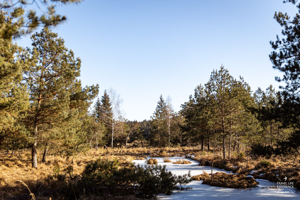 Spatenbräufilz, ein Teil der Eglinger Filze