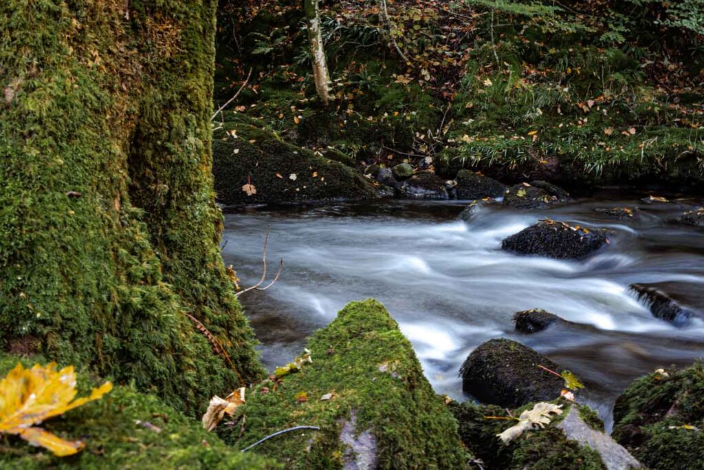 Am River Rothay zwischen Ambleside und Grasmere